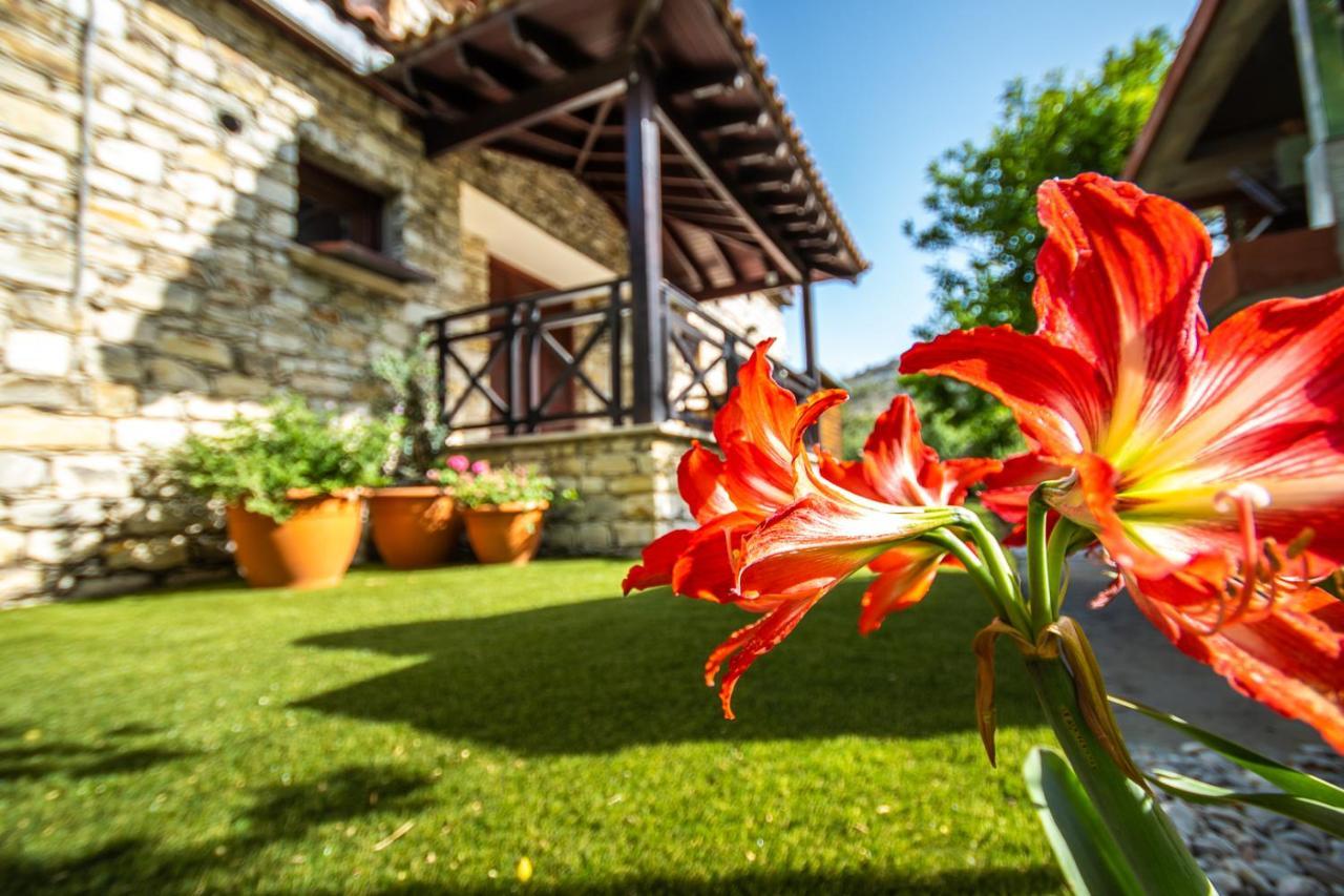 Lefkara Villa Kato Lefkara Екстер'єр фото